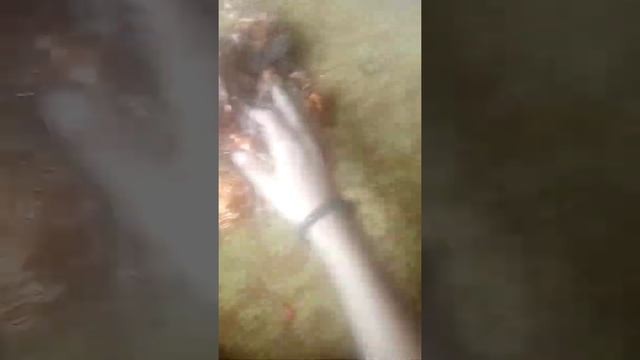 вся моя медь смотреть онлайн