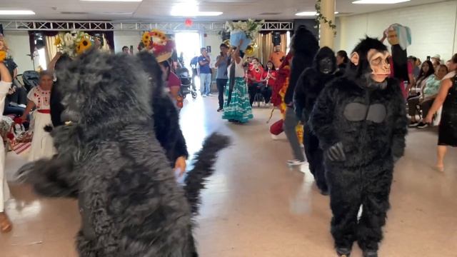INICIO DE LAS FIESTAS PATRONALES CON SANTO DOMINGO ROAYAGA 2024 смотреть онлайн