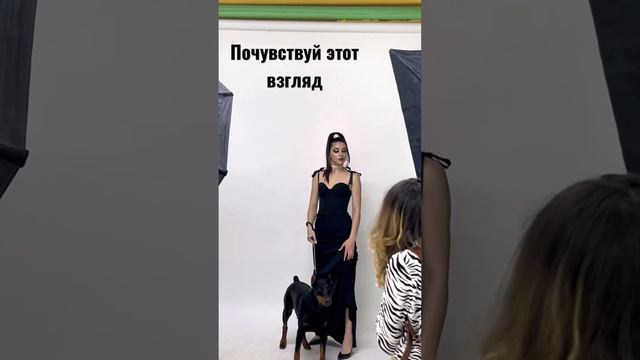 Почувствовали наш взгляд, прямо в душу 🔥 #doberman #photoshoot #model #beauty #shotrs смотреть онлайн
