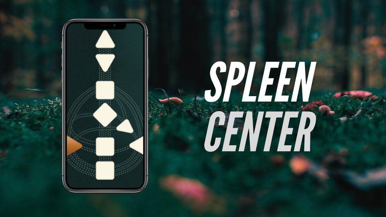 THE SPLEEN CENTER - Human Design & Gene Keys Foundations смотреть онлайн