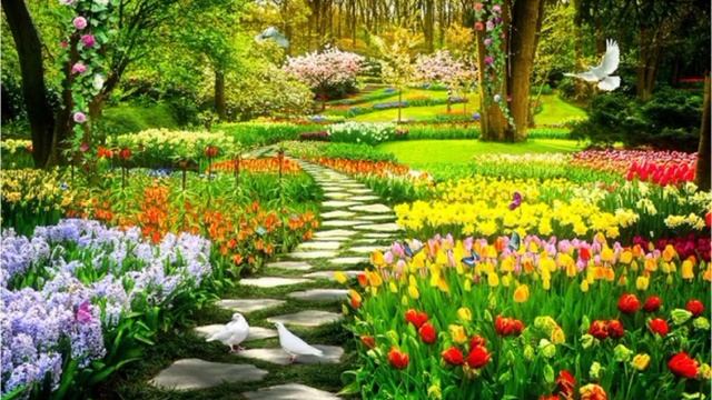 Indila - Love Story (Orchestrale Instrumental version) slowed reverb смотреть онлайн