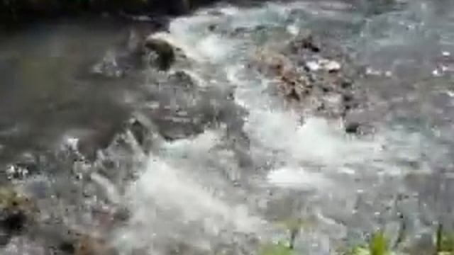 Речка Малый Бор смотреть онлайн