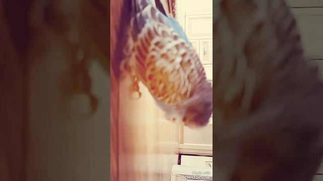 Я люблю тебя друг мой 😚😍 смотреть онлайн