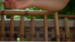 复刻方便面有多难？得从棕榈果榨油开始……【滇西小哥】