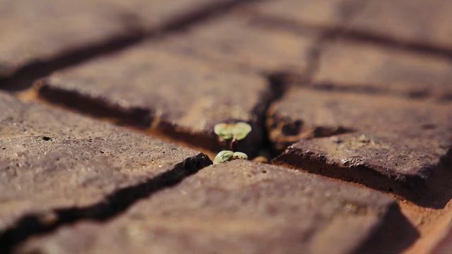 MOOC Психологическая помощь в трудных жизненных ситуациях (промо) смотреть онлайн