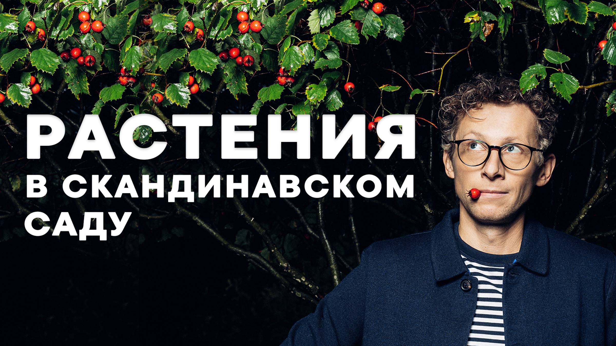 Обзор растений в Скандинавском саду от Петра Лари смотреть онлайн