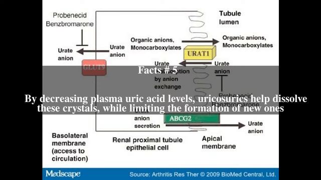 Uricosuric Top # 9 Facts смотреть онлайн
