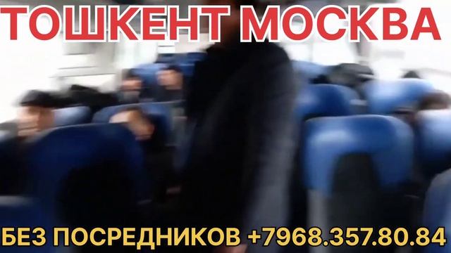 Тошкент Москва автобус +998998810194 #тошкент #russia #санктпетербург #автобус #мигранты #мусофир смотреть онлайн