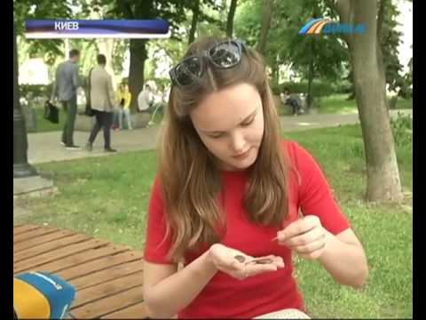 Какие копейки можно продать за тысячи гривен смотреть онлайн