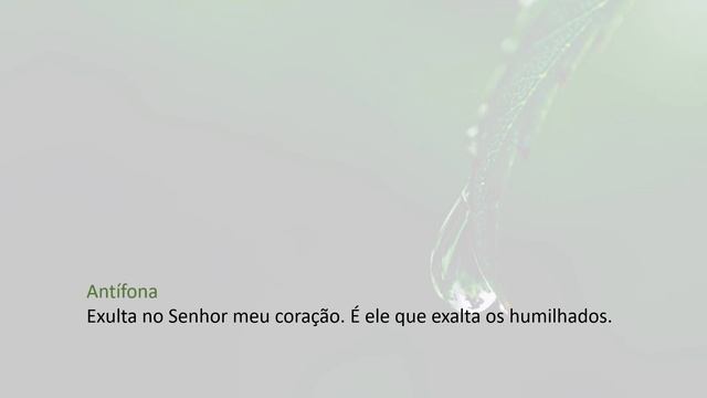 Liturgia das Horas - Laudes - Quarta-feira, da 18ª Semana do Tempo Comum смотреть онлайн