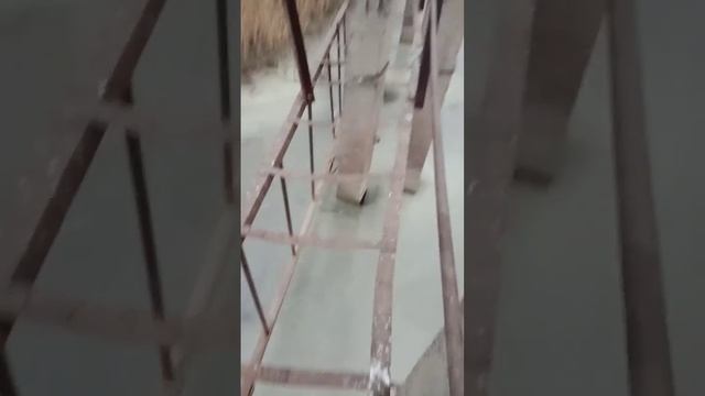 Лёд, холод, и веселье! смотреть онлайн