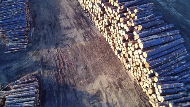 Atom SE drone flight over lumber yard Made with Clipchamp смотреть онлайн