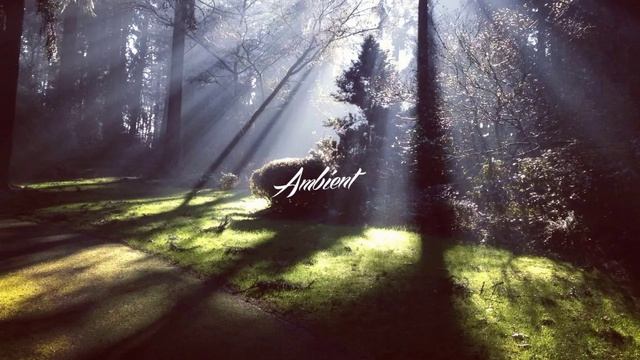 Ambient-Classical-Music-Bed-Of-Flowers смотреть онлайн