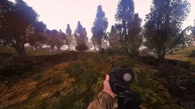 Reshade для Call Of Chernobyl