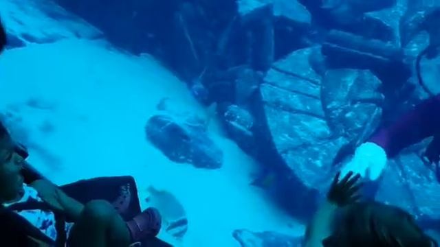 Baby's day out (Aadam,Amr, Amber and family trip to Dubai(32) смотреть онлайн