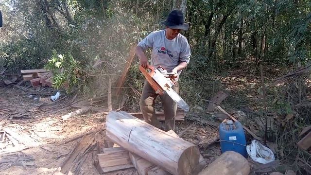 Como tirar lasca de torinha de alcalipito com motoserra husqvarna 272 смотреть онлайн