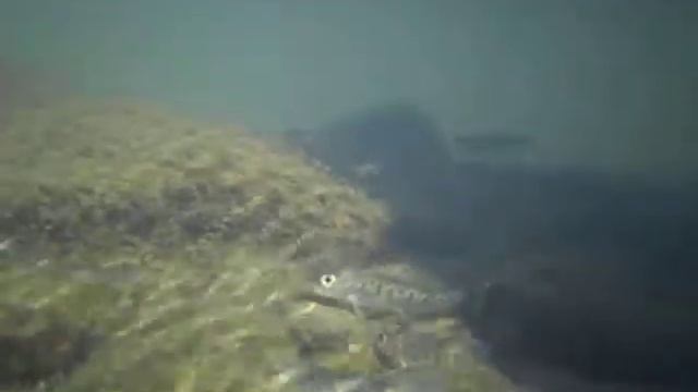 Raba zarybienie lipień 18 10 2011 cz2 смотреть онлайн