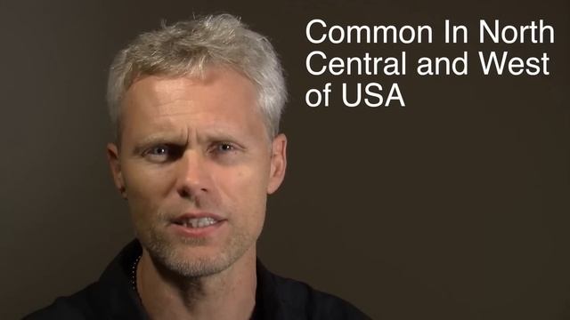 English Plural You смотреть онлайн