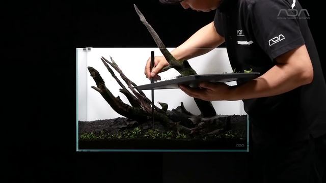 [ADAview] W600mm Nature Aquarium Layout【EN/JP Sub.】 смотреть онлайн