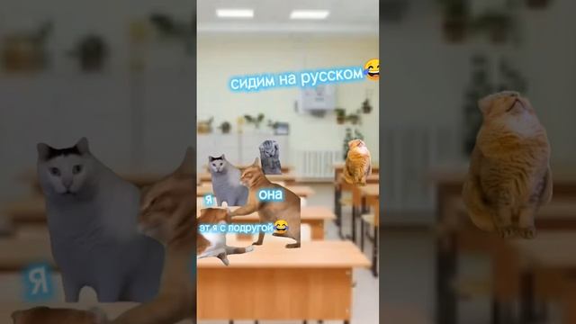 один день когда приезжает наушники с озона 😂(предложите какое видео делать дальше в комментариях 🥺) смотреть онлайн
