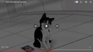 реклама Феликс аппетитные кусочки на русском