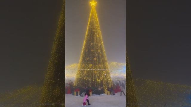 Алматы. Зима 2023. Казахстан. Kazakhstan. Almaty. Foggy night. Winter 2023 смотреть онлайн