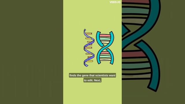 What is CRISPR? смотреть онлайн