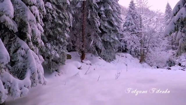 В ледяной карете мчится Зимушка зима Zimushka-winter is rushing in an ice carriage смотреть онлайн