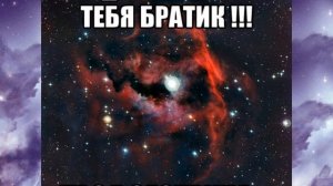 Братик не надо ( BITTUEV...)