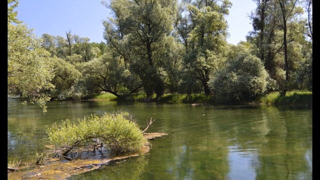 Happiness Frequency Music: Serotonin, Dopamine, Endorphin Release | Distress, Relax, Happy & Love смотреть онлайн