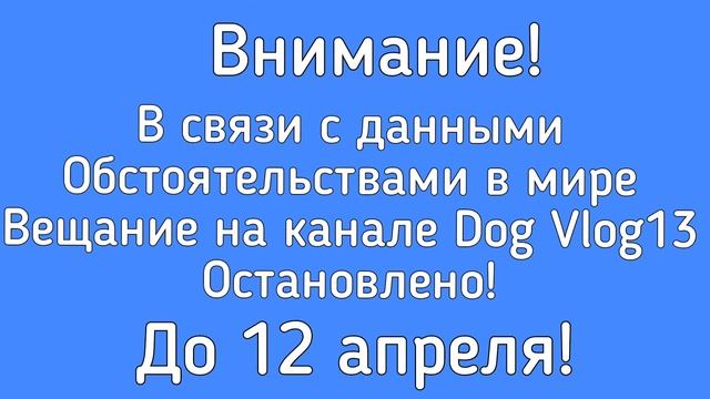 Внимание! В связи с данными Обстоятельствами в мире Вещание на канале Dog Vlog13 Остановлено! смотреть онлайн