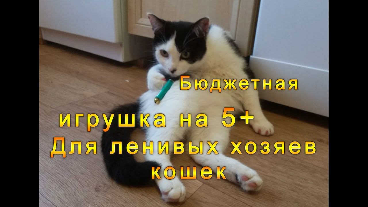 Лазерная указка и кот - Игрушка для ленивых кошатников на 5+, Отзыв и игры смотреть онлайн