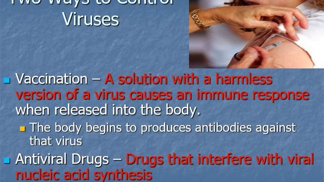 Viruses and Bacteria Video Lecture смотреть онлайн
