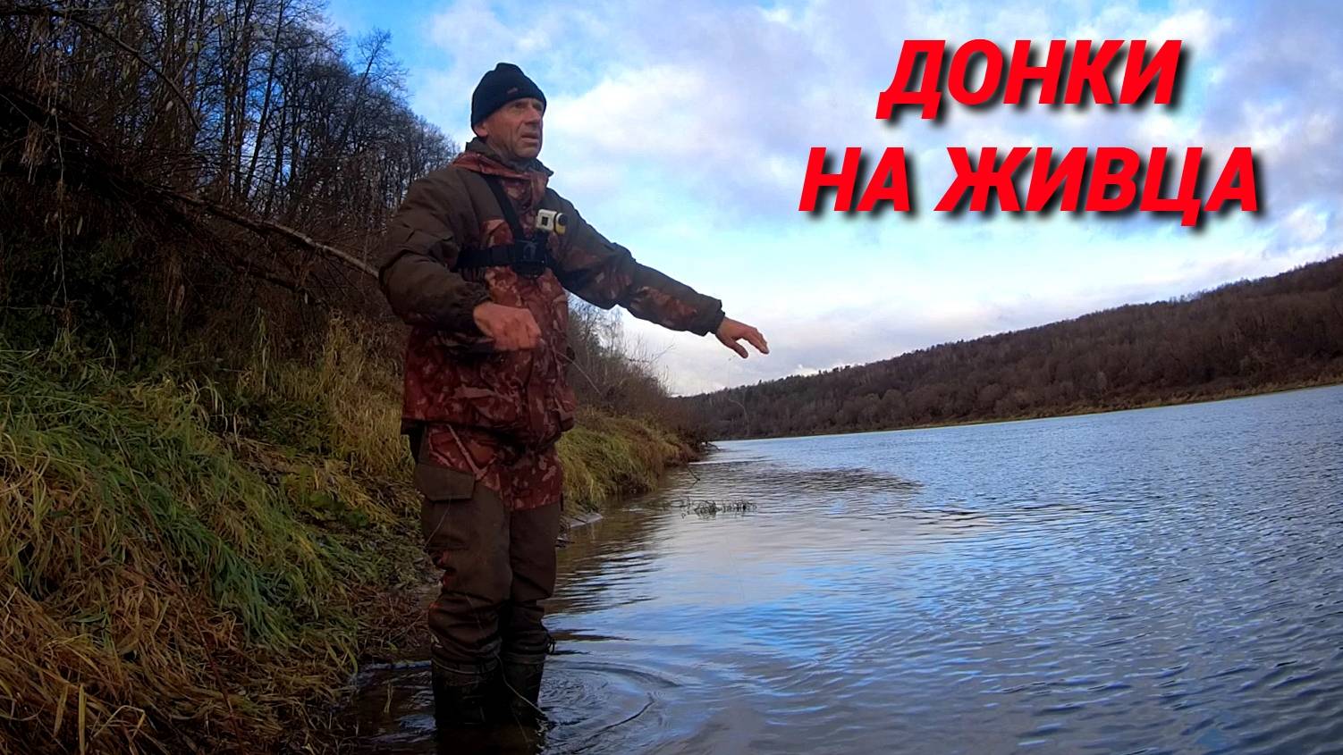 ЛОВЛЮ ЖИВЦА. СТАВЛЮ И ПРОВЕРЯЮ НОЧНЫЕ ДОНКИ. СПАСЕНИЕ ПОТЕРЯШКИ. смотреть онлайн