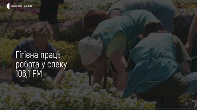 15.06.20. «Чим важча робота, тим нижча температура повітря має бути» — Держпраці || ПОДКАСТ смотреть онлайн