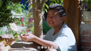 「一席一果」李子——替料理增香调味的酸甜爽口【滇西小哥】