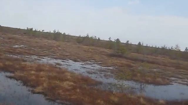 Весеннее болото 4 смотреть онлайн