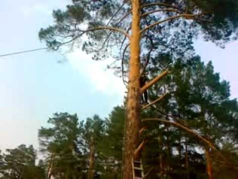 28062012011 смотреть онлайн