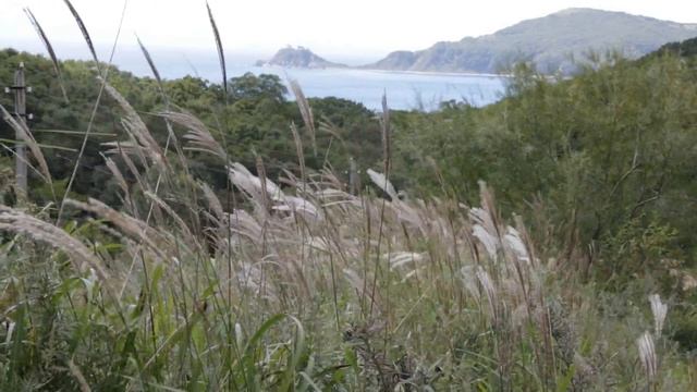 naturae2a 2014 смотреть онлайн