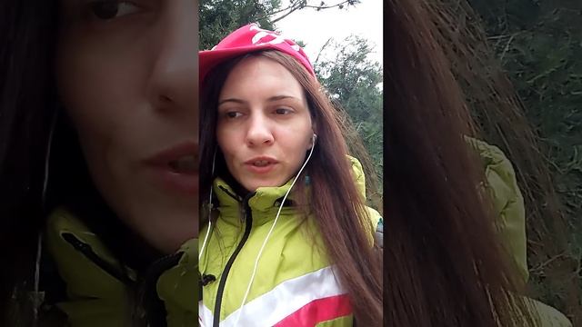 Сценарий взаимоотношений ❤️🌷🥳#брови#совет#душа#цветы#визаж#стиль#коррекция#ногти# смотреть онлайн