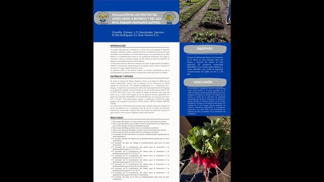 EVALUACIÓN DE LOS EFECTOS DEl Acido indol-3 butirico y del AG3 EN EL RABANO (RAPHANUS SATIVUS) смотреть онлайн