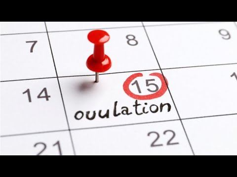 Xayz Tugagan Kuni Ham Homilador Bo'lib Qolish Mumkinmi?