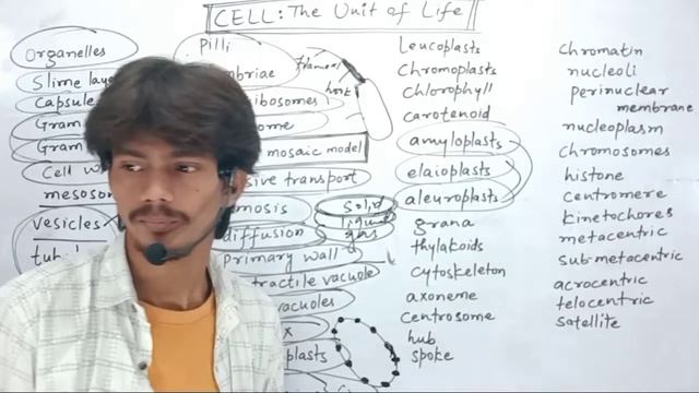 Rapid Fire Keywords | Cell : The Unit of Life Keywords | Chapter 8 | Class 11 Bio.| Amit Singh ARS смотреть онлайн