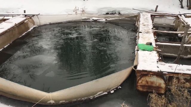 Рыба среди льда. смотреть онлайн