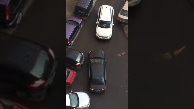 Зарули, дура!