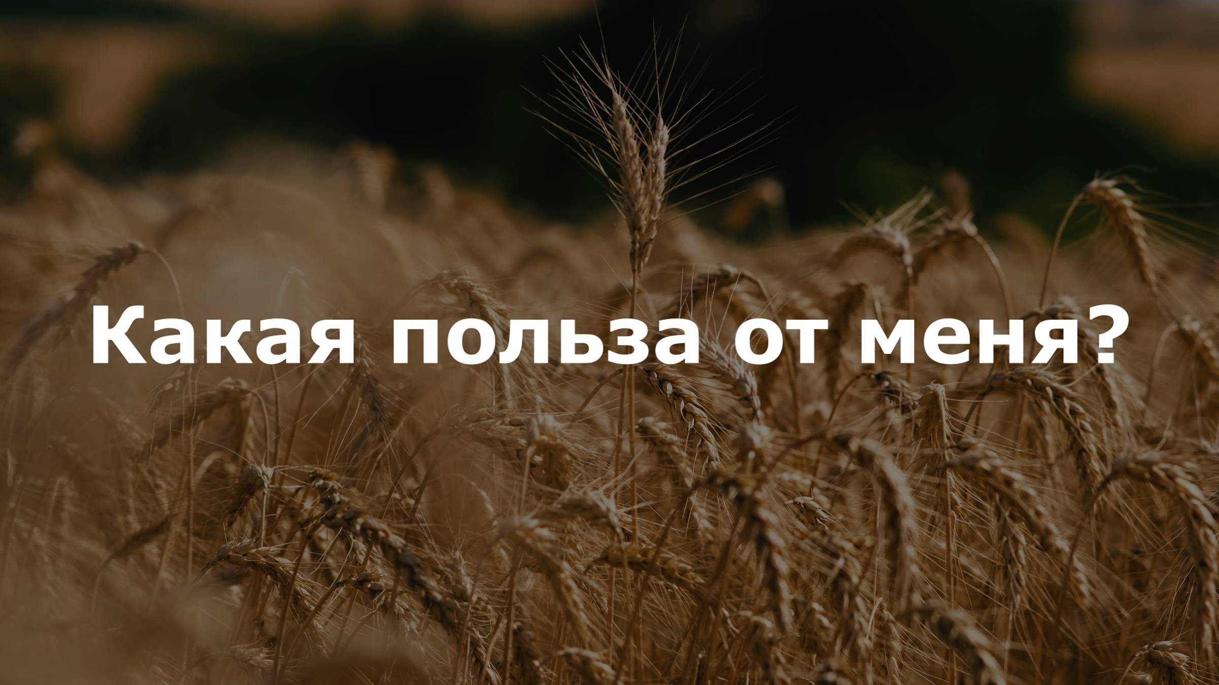Чем я могу быть полезной? Елена П. смотреть онлайн