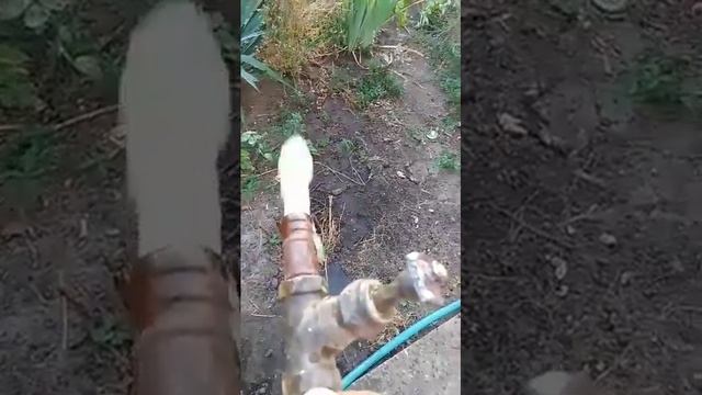 Ст. Воздвиженская сидим без воды смотреть онлайн