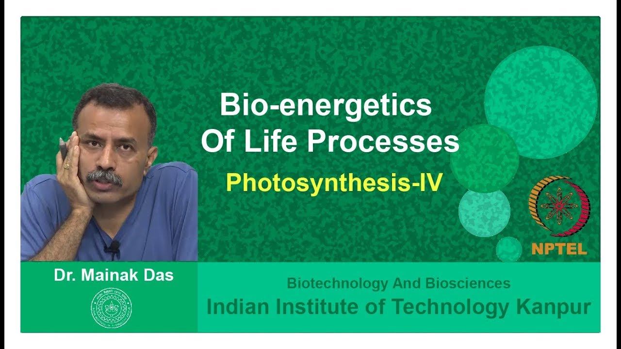 Photosynthesis-IV - Bio-energetics of Life Processes - Prof. Mainak Das смотреть онлайн