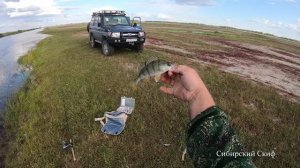 ПОПАЛ НА ЩУКУ И ОКУНЯ