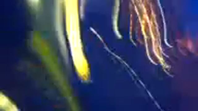 Iona & Larissa, the bus stop video. x] смотреть онлайн